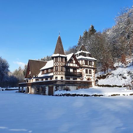 Le Saint Moulin De La Petite Pierre Villa Lohr Exterior photo