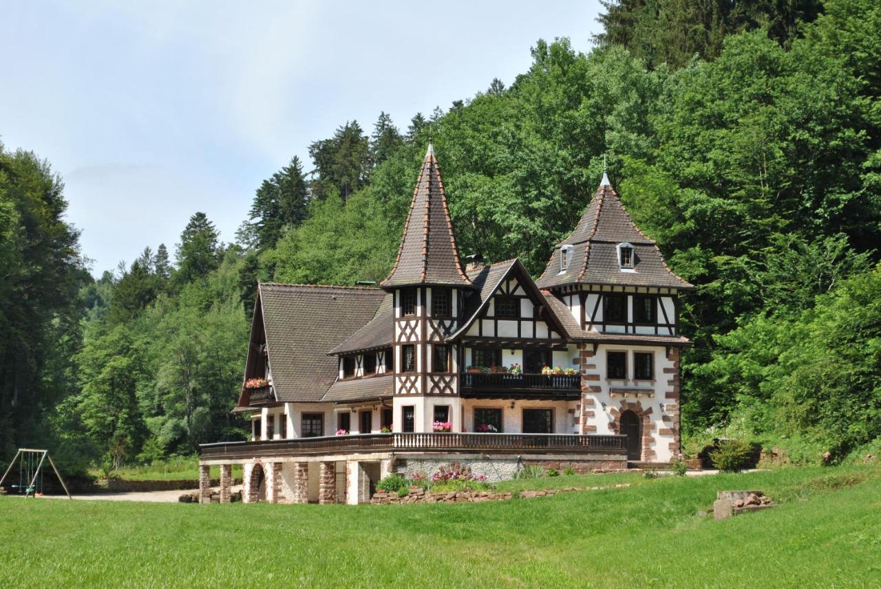 Le Saint Moulin De La Petite Pierre Villa Lohr Exterior photo