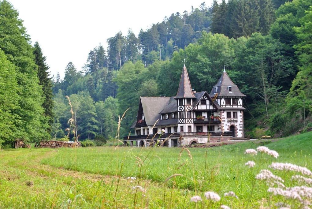 Le Saint Moulin De La Petite Pierre Villa Lohr Exterior photo